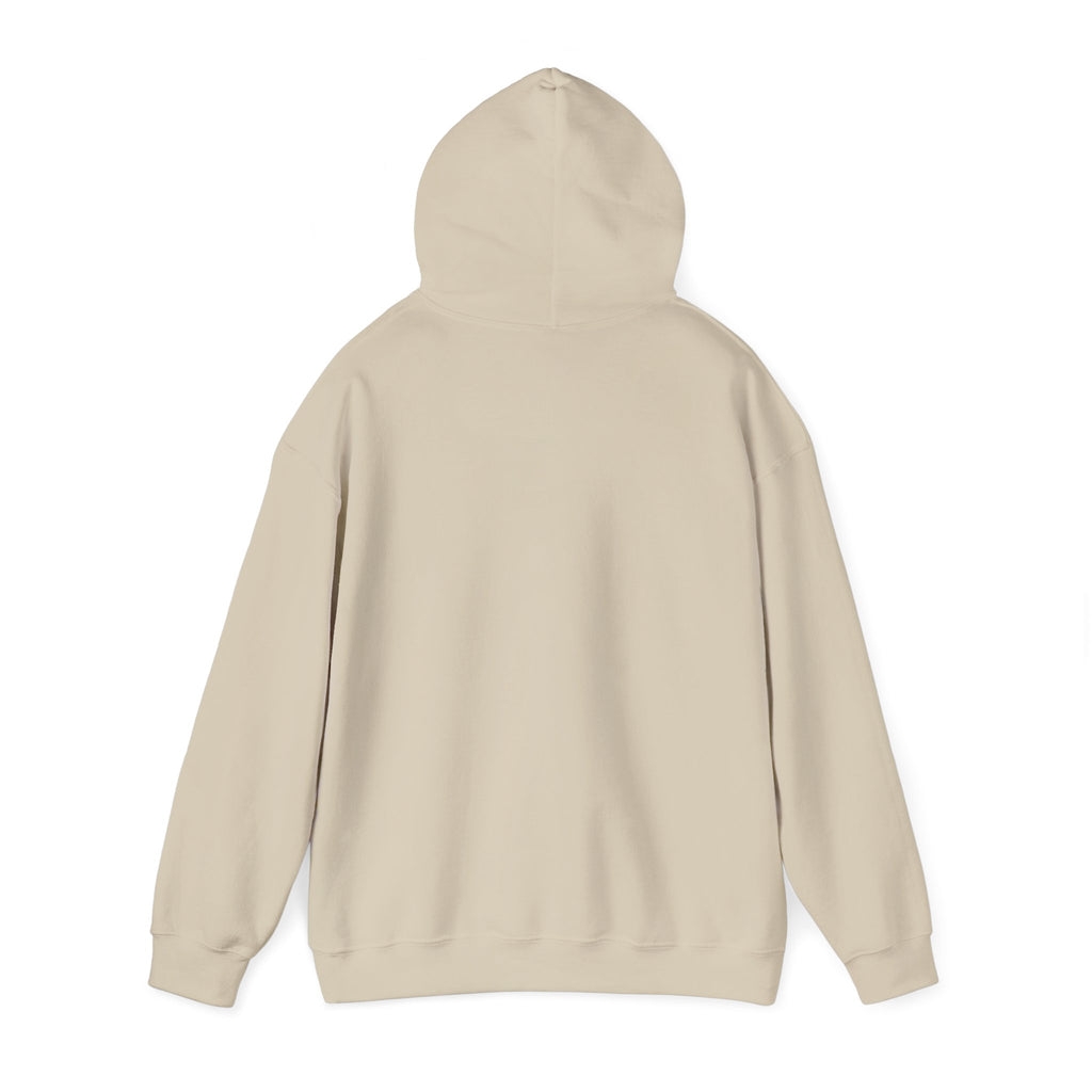 Basketball Graphic Hoodie – "Nothing But Net" Retro Court Design
