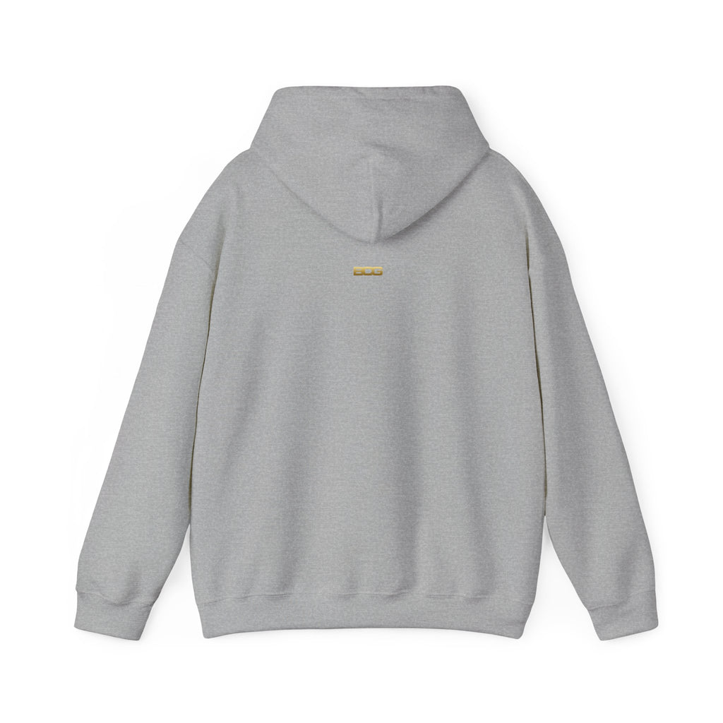 Basketball Graphic Hoodie – "Nothing But Net" Retro Court Design