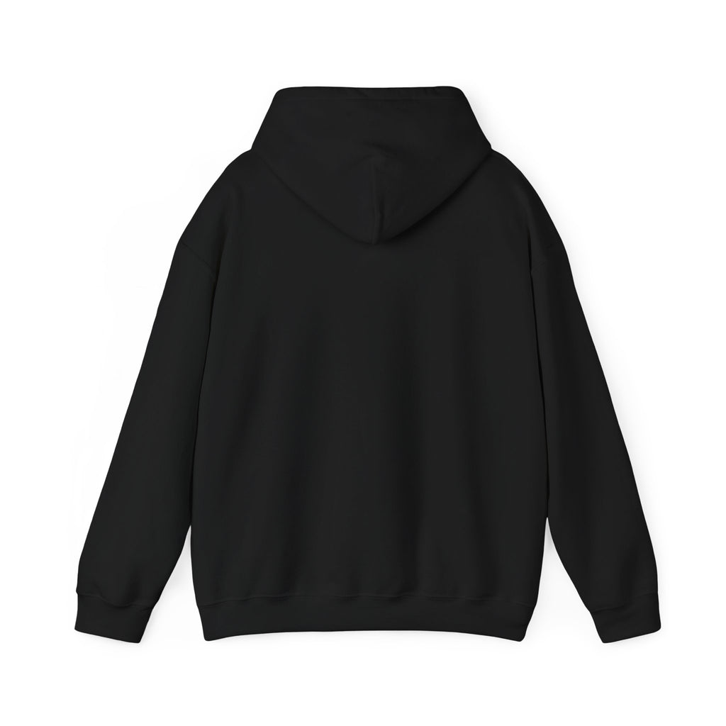 Basketball Graphic Hoodie – "Nothing But Net" Retro Court Design