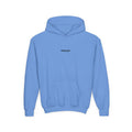 ML Hoodie – Whatever You Imagine Back (Carolina Blue) – Youth