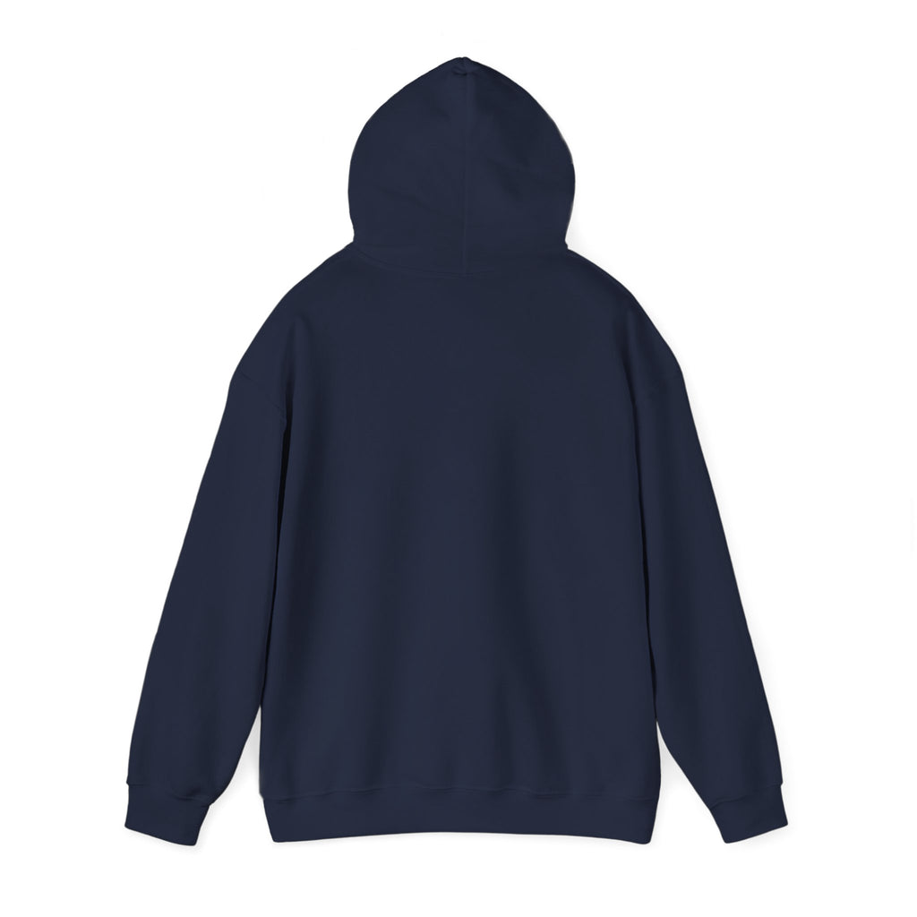 Basketball Graphic Hoodie – "Nothing But Net" Retro Court Design